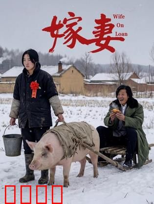 嫁妻：为救母竟替夫征婚