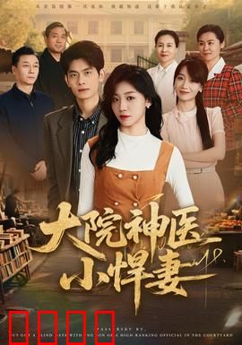 大院神医小悍妻：妙手回春记