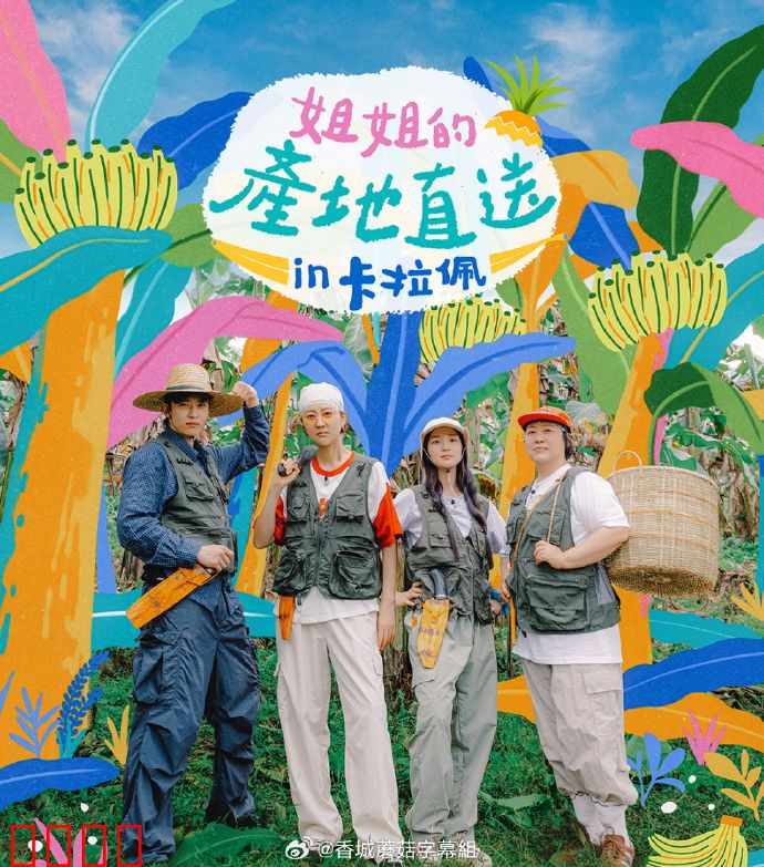 姐姐家的产地直送3：乡土情仇