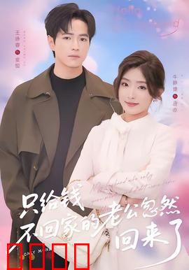 只给钱不回家的老公忽然回来了：失踪多年的秘密