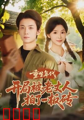 重生年代开局被老丈人拍了一板砖：翻身从这一砖开始