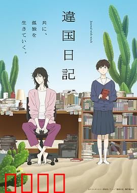 异国日记动画版：文化碰撞与成长