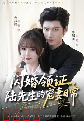闪婚领证，陆先生的宠妻日常：甜蜜暴击日常