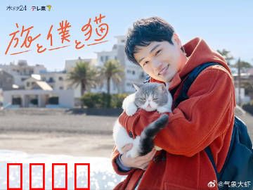 旅行和我和猫：一段治愈之旅