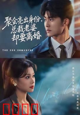 聚会亮出身份，总裁老婆却要离婚：身份曝光惊全场