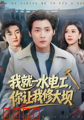 我就一水电工，你让我修大坝：菜鸟逆袭