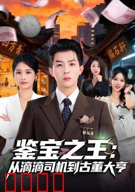 鉴宝之王：古玩迷局