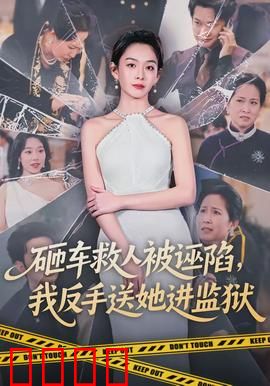 砸车救人被诬陷，我反手送她进监狱：正义绝不会迟到