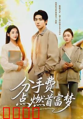 分手费点燃首富梦：天价分手费逆袭
