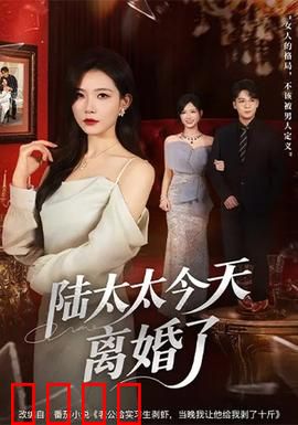 陆太太今天离婚了：逆袭翻盘惊呆前夫