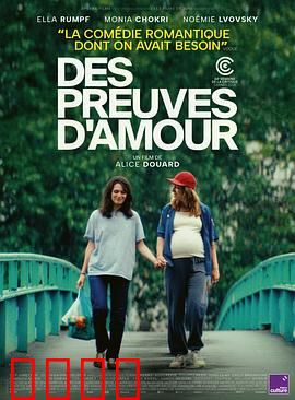 爱的证明：数学与爱的交织