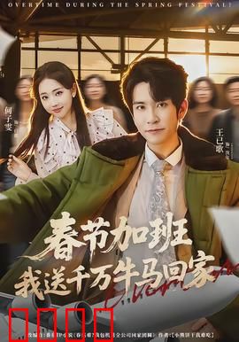 春节加班，我送千万牛马回家：打工人回家路