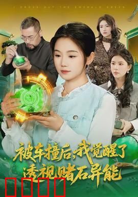 被车撞后，我觉醒了透视赌石异能了：逆袭人生