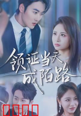 领证当天成陌路：新婚即破裂