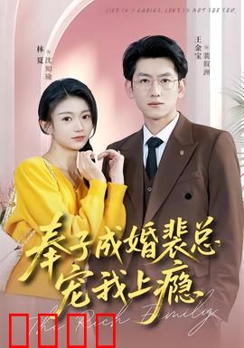 奉子成婚裴总宠我上瘾：甜蜜霸总追妻路