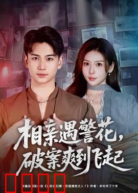 相亲遇警花，破案爽到飞起：爆笑探案记