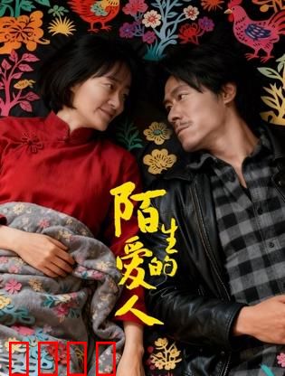 陌生的爱人：失忆后的惊天秘密