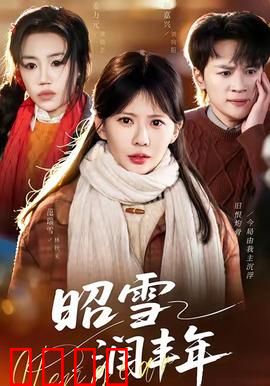 昭雪润丰年：雪落冤情散
