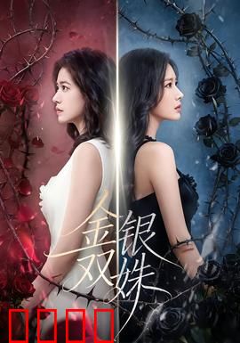 金银双姝：双面奇谋