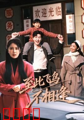 到此飞鸟不相逢：空巢遗梦