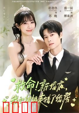 救命！新婚夜，我和姐姐走错了婚房：乌龙错嫁