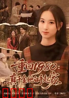 重回1980：重生商海逆袭