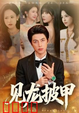 见龙披甲：英雄暮年
