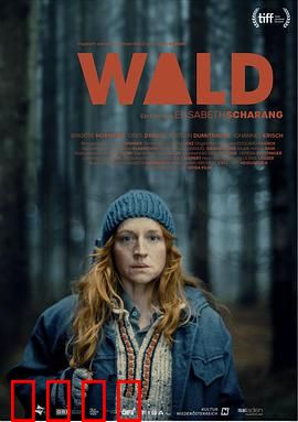 走出丛林：逆袭求生