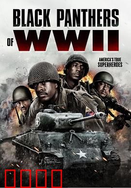 二战黑豹：钢铁巨兽的悲歌