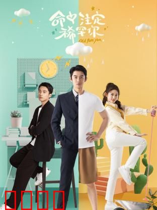 命中注定稀罕你：错位姻缘