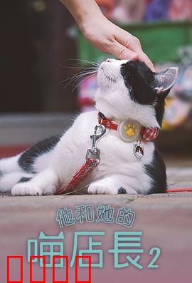 他和她的喵店长2：猫咖里的秘密