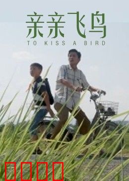 亲亲飞鸟：生命与自由