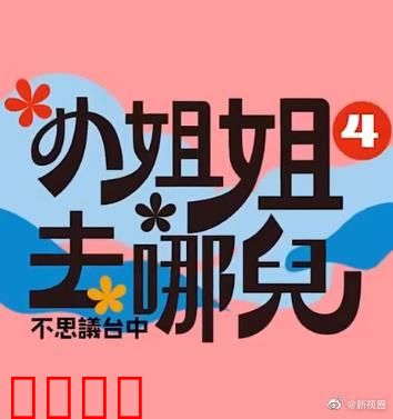 小姐姐去哪儿：谜影追踪
