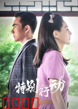 特别行动：兄弟联手
