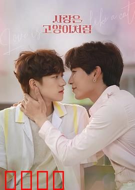 爱情像猫一样：独立与依赖之间