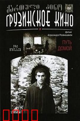 返乡之路：归途的温暖