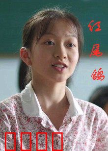 红尾鸽：铁翼忠魂