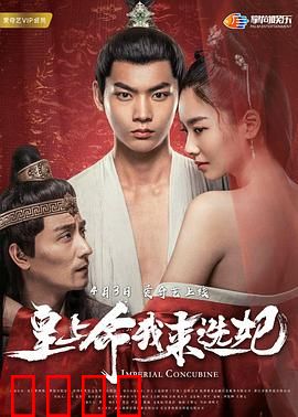 皇上命我来选妃：王爷也来凑热闹