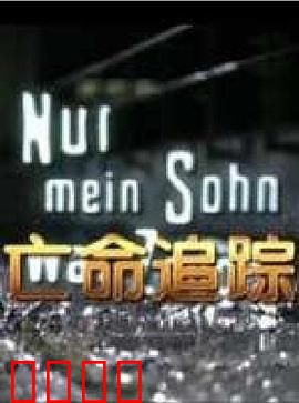 亡命追踪：末路狂飙