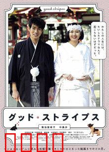 美好条纹：斑马的逆袭