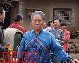 野茱萸：山野间的坚韧之花