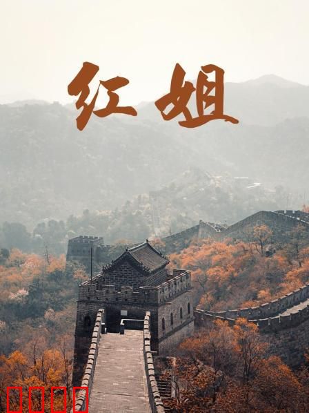 红姐2017：绝境反击