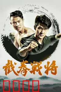 截拳战将：铁拳复仇