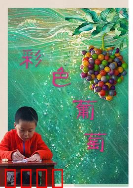 彩色葡萄：魔幻果实之谜