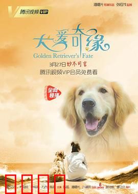 犬爱奇缘：无声的陪伴
