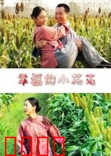 幸福的小杨屯：变革之歌