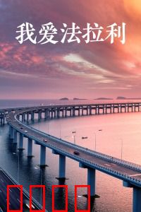 我爱法拉利：疯狂赛车梦