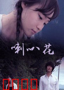 牵牛花：晨曦中的倔强