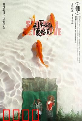 平原上的夏洛克：乡土侦探奇遇记