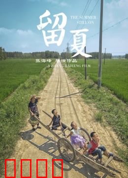 留夏：时光不再来